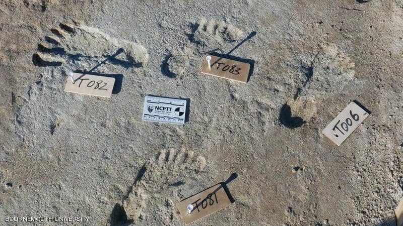  اكتشاف آثار أقدام عمرها 23 ألف سنة.. لمن تعود؟