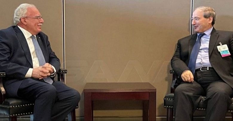 المالكي يطلع وزير الخارجية السوري على مستجدات الأوضاع