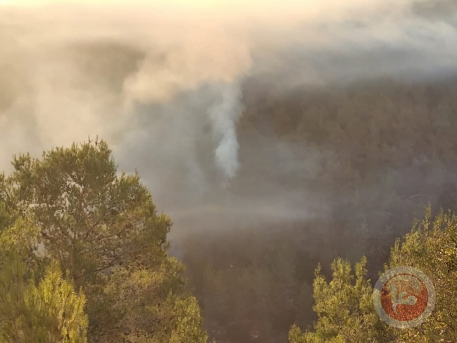 4 طائرات و19 فريق إطفاء يواصلون إخماد النيران في جبال القدس 