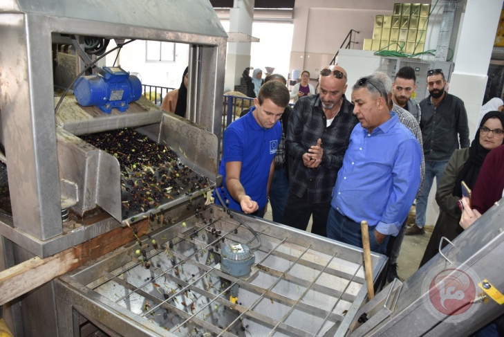 المركز الفلسطيني للبحوث والتنمية الزراعية ينظم فعالية لقطاف الزيتون في نابلس