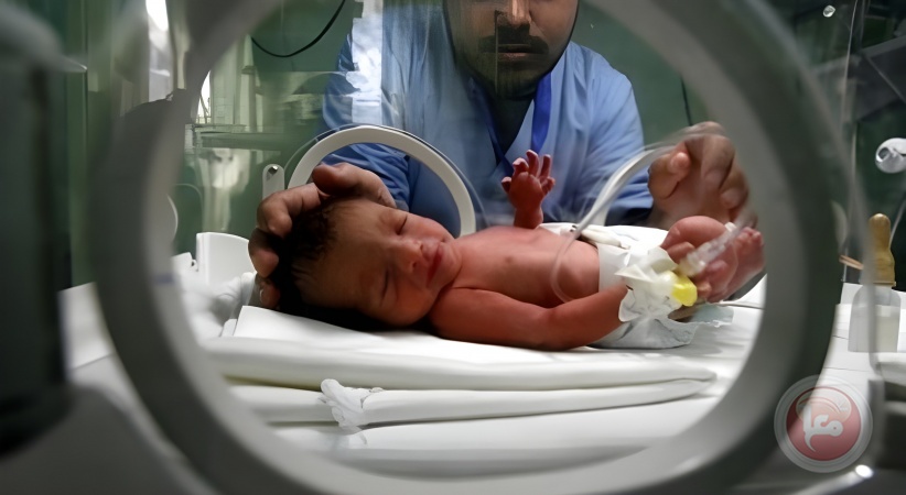 غزة - تسجيل  4462 مولوداً جديداً خلال نوفمبر و289 وفاة
