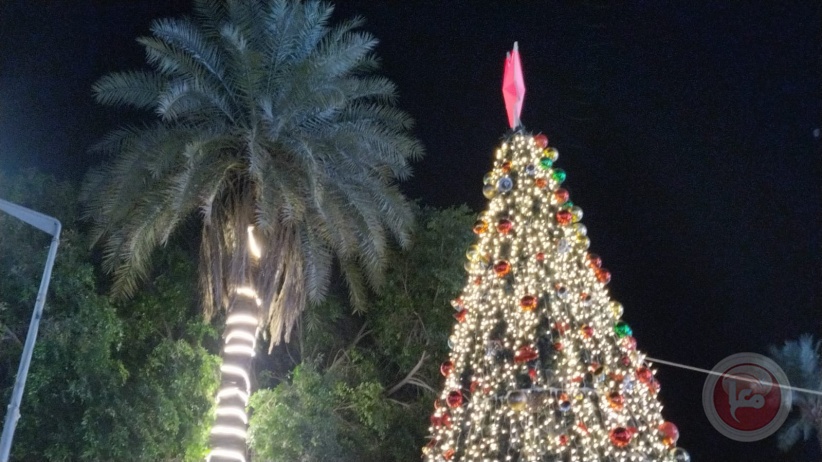 إضاءة شجرة الميلاد وسط مدينة أريحا