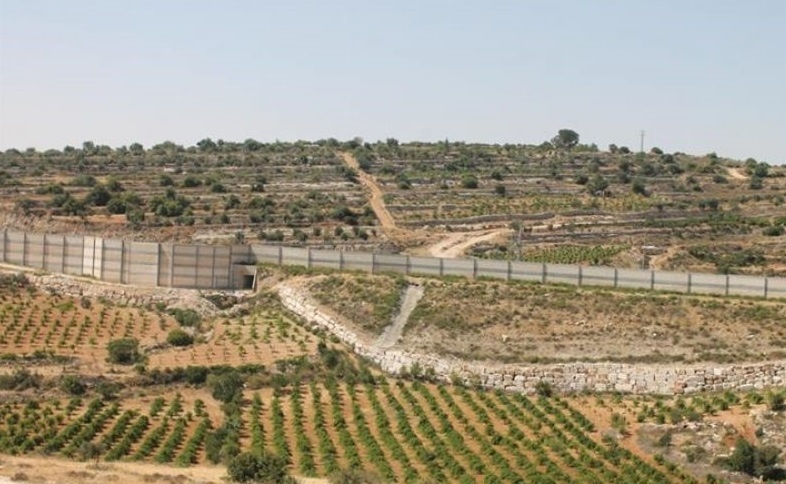 سلطات الاحتلال تستولي على 40 دونما ببلدة الخضر جنوب بيت لحم