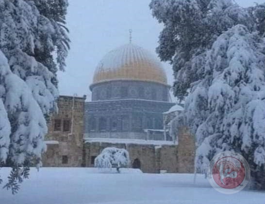 سماكة الثلوج وصلت 25سم... جبال فلسطين ترتدي ثوبها الأبيض (صور)