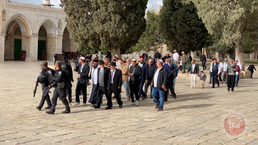 After closing the raids for two weeks - 130 settlers storm Al-Aqsa and perform prayers