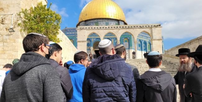 Guarded by the occupation forces - continuous storming of Al-Aqsa