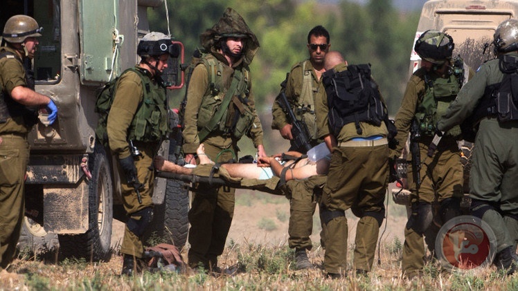 ثعبان يلدغ جندي اسرائيلي مرتين- حالته خطرة