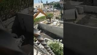 القدس.. الاحتلال يهدم منزلا في حي وادي الحمص (فيديو)