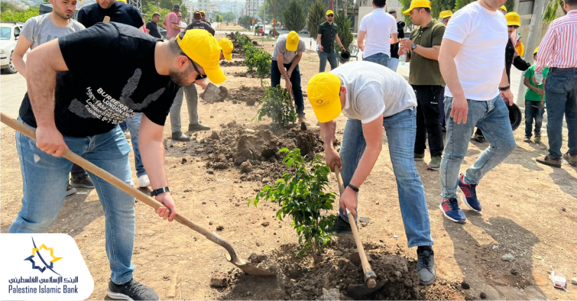 البنك الإسلامي الفلسطيني ينظم نشاطاً تطوعياً لزراعة الأشجار في طولكرم