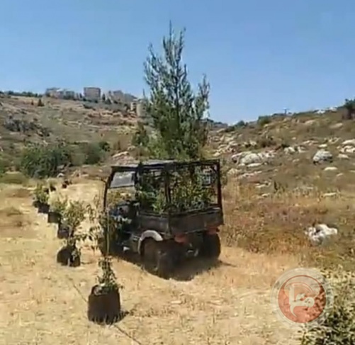 مستوطنون يستولون على 10 دونمات من أراضي بلدة الخضر 