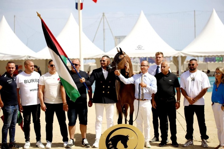 &quot;مربط الشيخ&quot; يحصد الذهب في بطولة &quot;منتون&quot; لجمال الخيل العربية الأصيلة