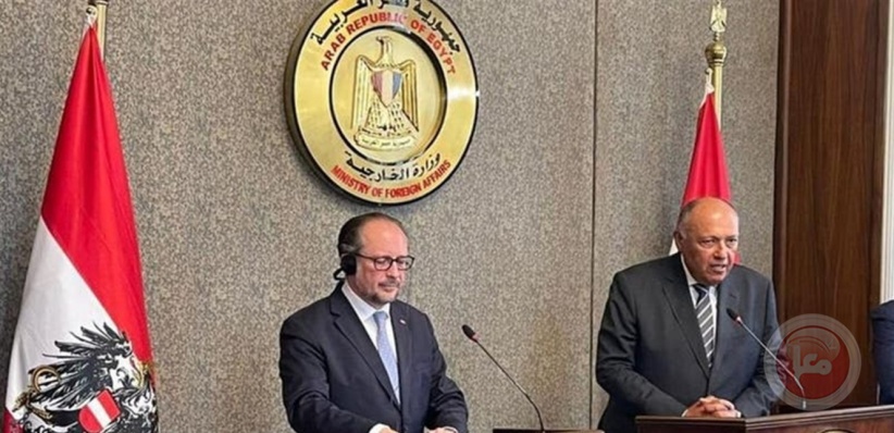 مصر: نبذل الجهود لتجنب اللجوء للحل العسكري في ليبيا