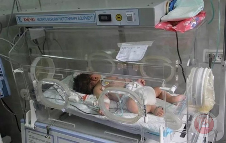 غزة تسجل 25 ألفا و649 مولودا جديدا و2790 وفاة خلال النصف الأول لـ 2022