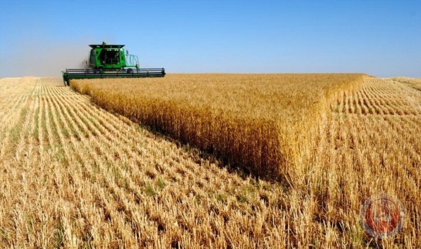 أوكرانيا: تستأنف تصدير القمح والحبوب بوتيرة متصاعدة