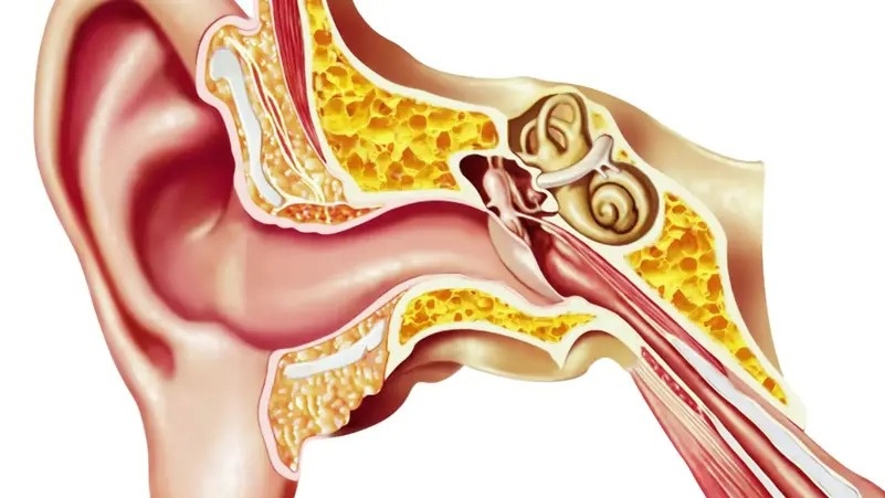 سماعات ذكية تساعد على تشخيص 3 حالات شائعة للأذن