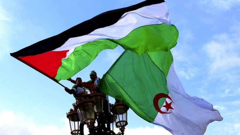 تبون: فلسطين قضية وطنية للجزائر.. ولن نقبل استعمارها