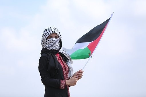 &quot;أمنستي&quot;:&quot;منع رفع العلم الفلسطيني مخالف لحقوق الإنسان