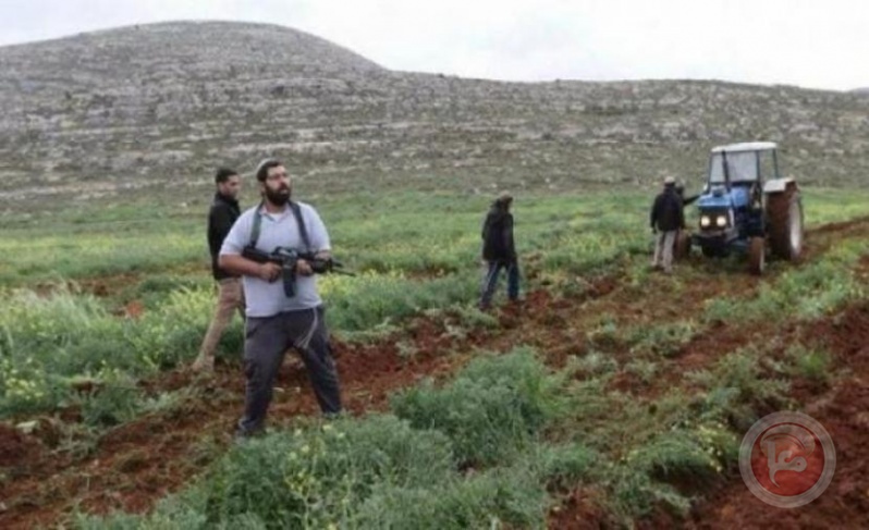 مستوطنون يحرثون أراض في الأغوار