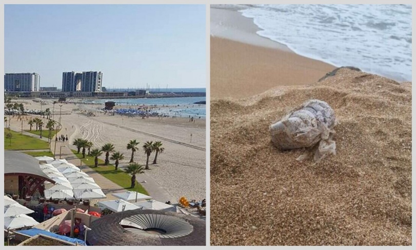 الحشيش يغزو إسرائيل بحرا