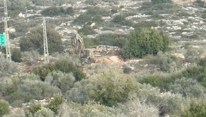 جرافات الاحتلال تقتلع الاشجار الحرجية غرب سلفيت