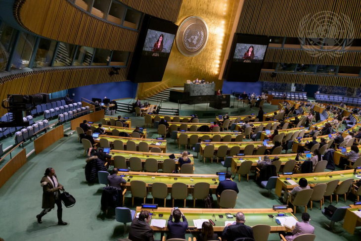 الأمم المتحدة تقر بالأغلبية طلب فلسطين فتوى قانونية من &quot;العدل الدولية&quot; حول ماهية الاحتلال