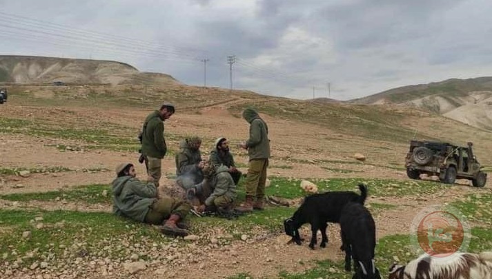 أريحا: مستوطن يطلق الرصاص الحي تجاه رعاة الأغنام