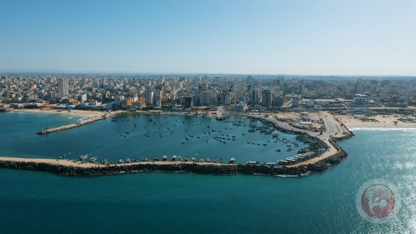 155 مولودا يوميا: مليونان و375 ألف نسمة بغزة