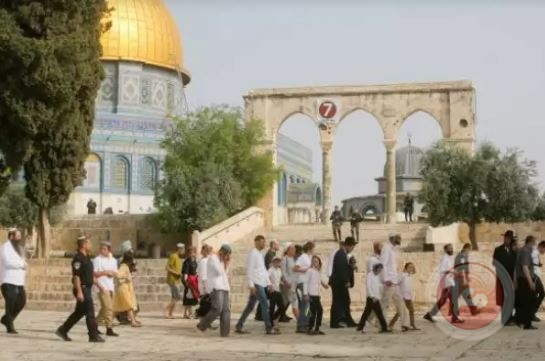 حماس تدين استمرار اقتحام المستوطنين للمسجد الأقصى
