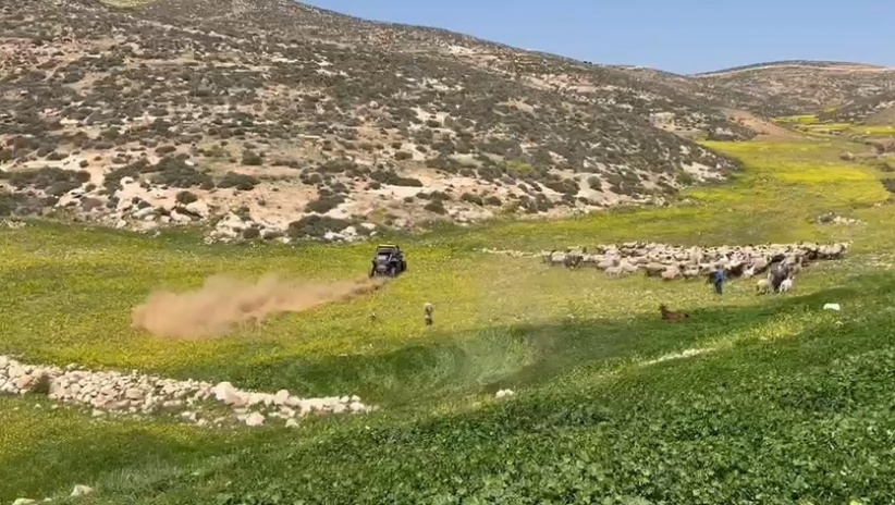 مستوطنون يلحقون اضرارا يقطيع أغنام في قرية زنوتا (فيديو)