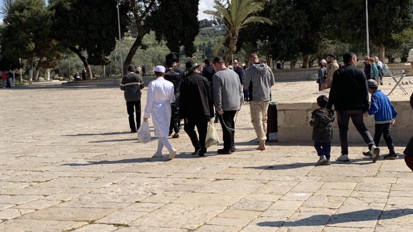 124 مستوطنا يقتحمون الاقصى في عيد المساخر