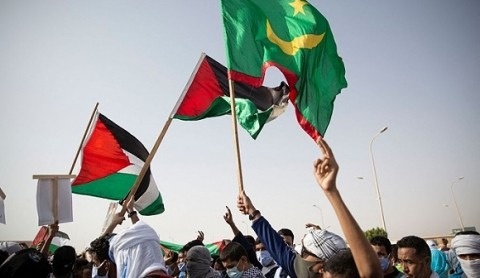 موريتانيا تنفي المشاركة في برنامج بيئي تدريبي بإسرائيل