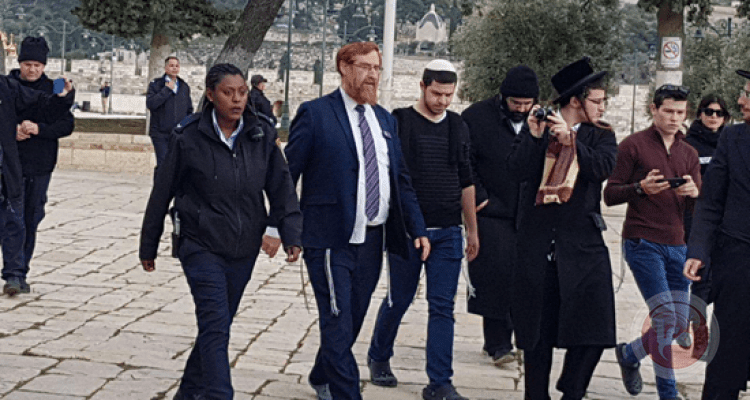 بقيادة المتطرف غليك - مستوطنون يقتحمون الاقصى 