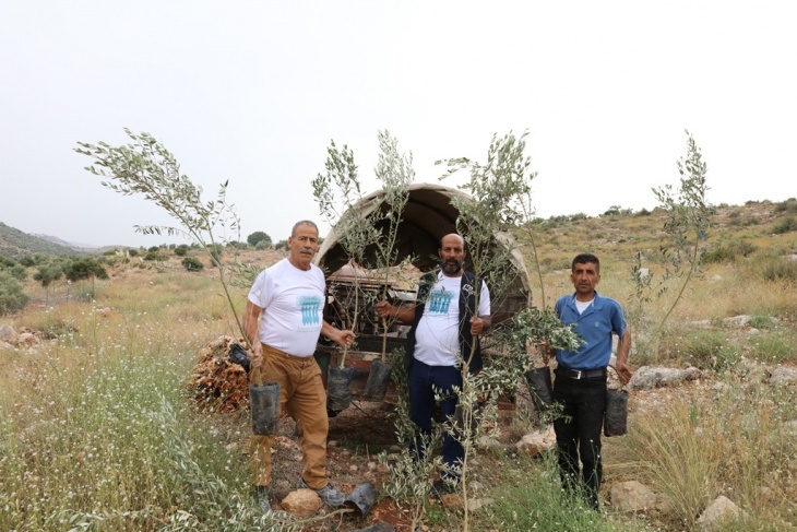  العربية لحماية الطبيعة تعيد زراعة 285 شجرة اقتلعها الاحتلال في كفر الديك