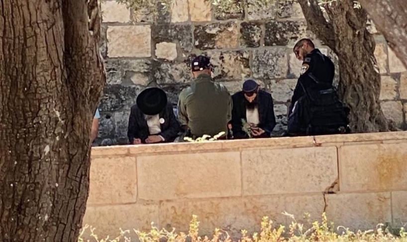 Dozens of settlers storm Al-Aqsa Mosque