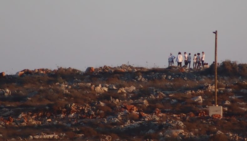 مستوطنون يهاجمون بلدة قصرة جنوب نابلس