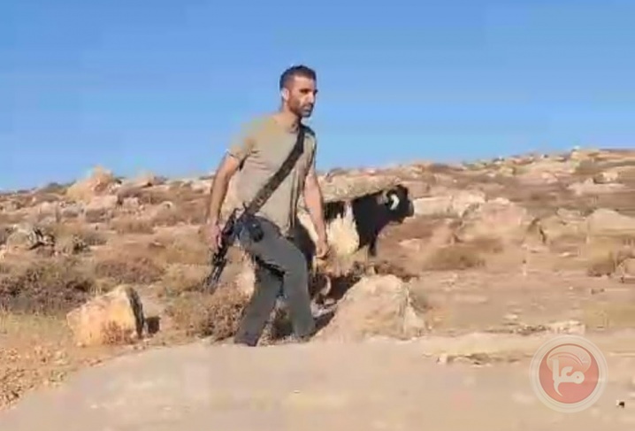 A sheep shepherd sustained bruises after settlers attacked him west of Salfit