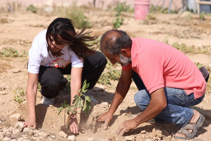 On an agricultural tractor.. 300 trees return with the people of “Masafer Yatta”  To their homes
