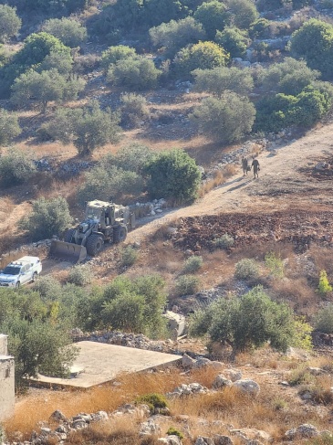 The occupation destroys 250 olive plants and bulldozes dozens of dunams in Kafr Al-Dik
