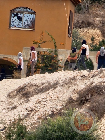 Ma'an report: Settlers escalate their attacks in the West Bank with the help of the Shin Bet