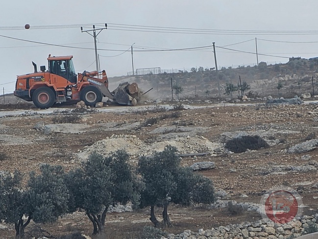 Settlers fill water wells and destroy olive seedlings south of Hebron