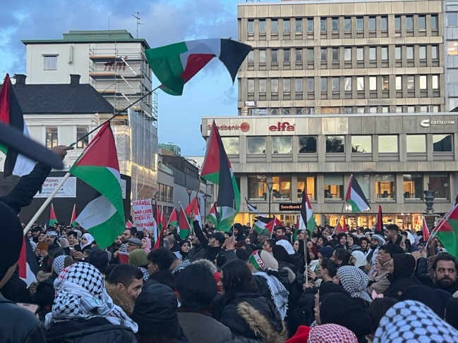 Sweden...a pause and march in solidarity with the Palestinian people