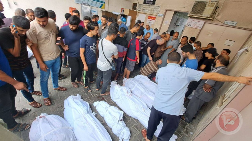 Health in Gaza: The number of martyrs in the Strip increased to 8,005 martyrs