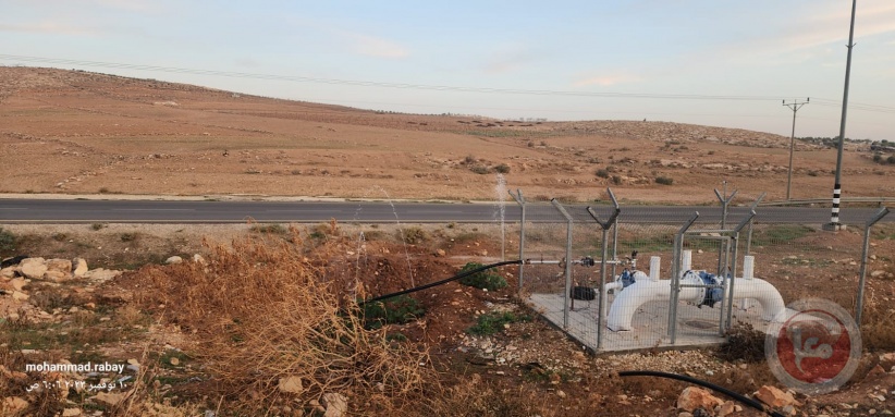 Settlers attack citizens picking olives south of Hebron
