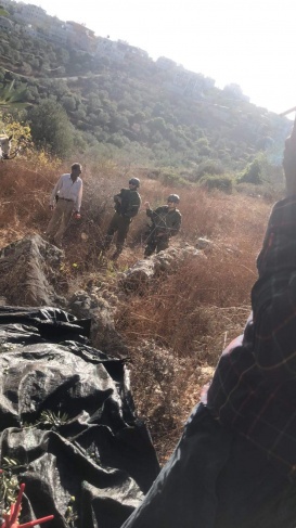 The occupation army expels olive pickers from their lands in Iskaka