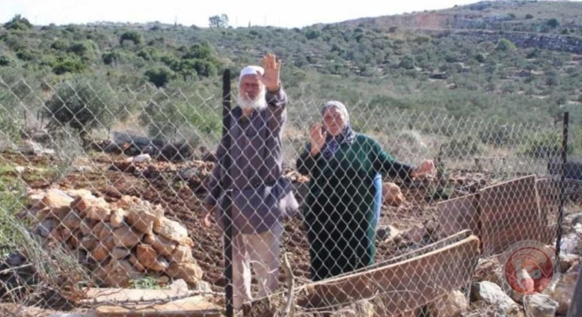 Settlers uproot dozens of olive trees west of Salfit