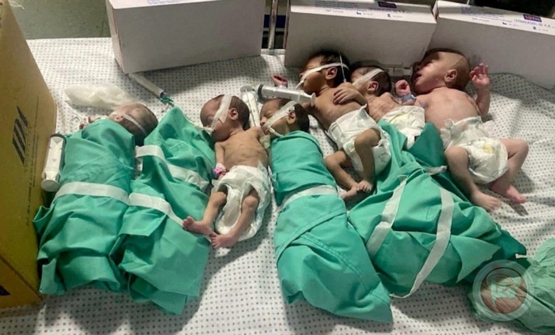 Evacuation of premature babies from Al-Shifa Complex