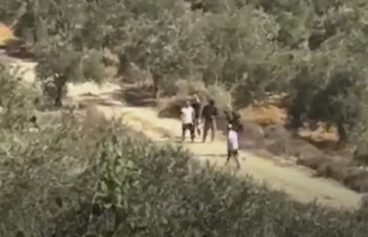 Settlers attack farmers in Yasuf and steal their property