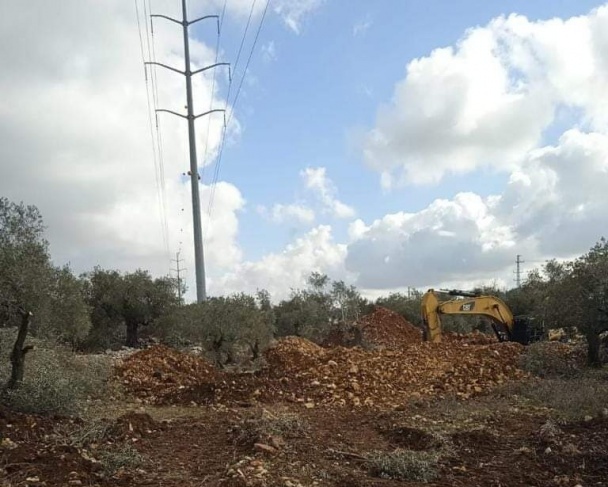 الاحتلال يواصل تجريف اراضي كفل حارس ويقكع عشرات اشجار الزيتون 