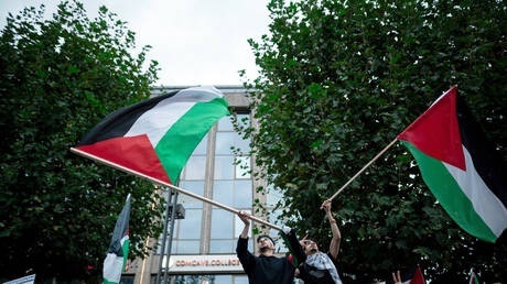 13 demonstrators who participated in a pro-Palestine rally in London were arrested