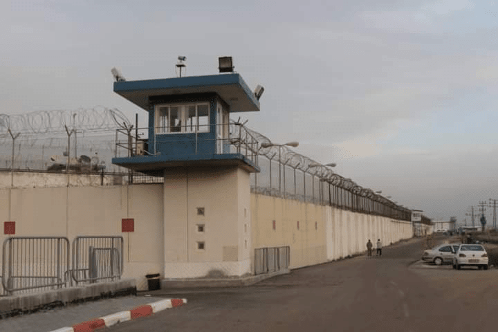 The occupation holds 142 female detainees from Gaza, including infant girls, in its prisons.